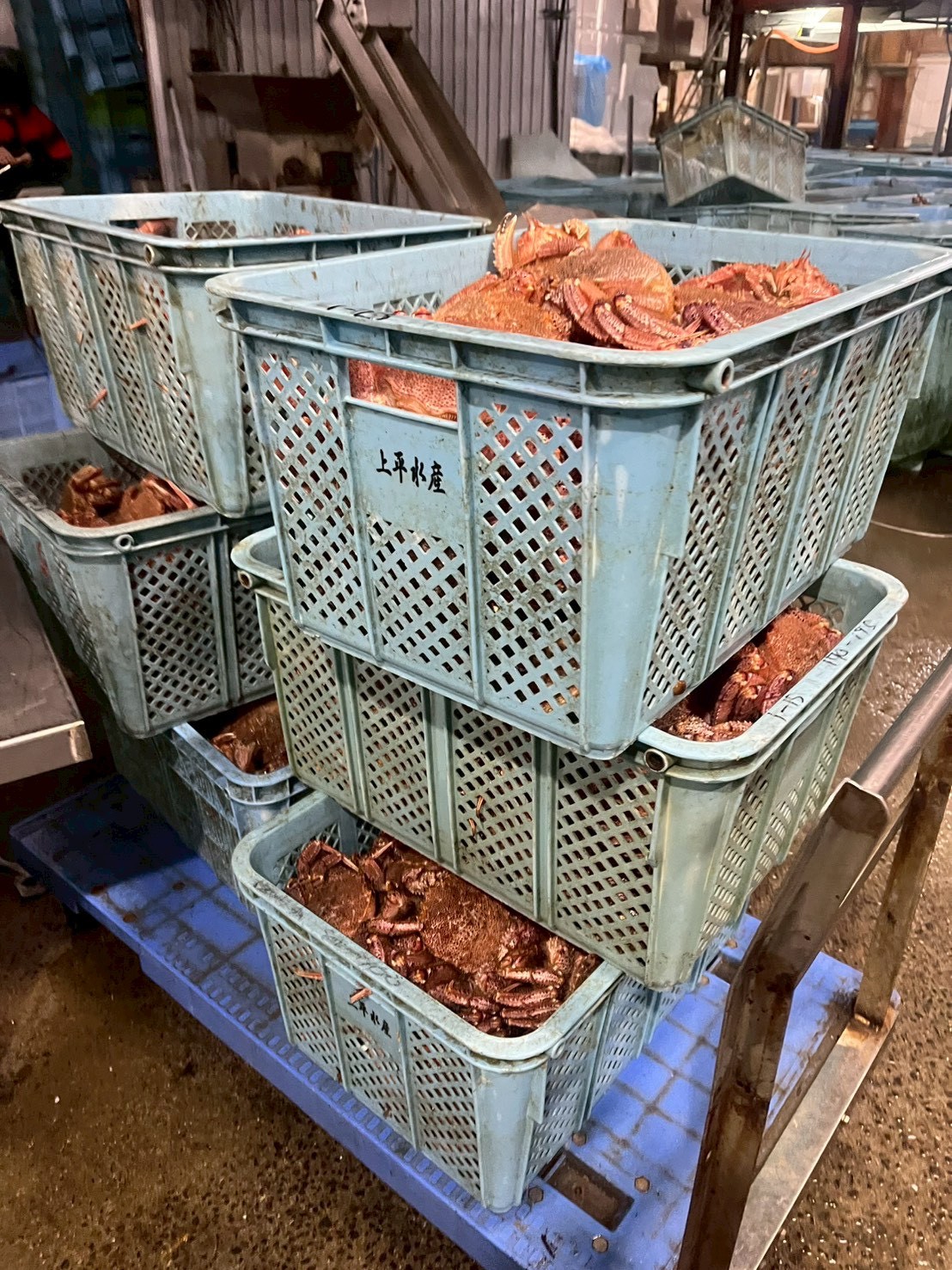 上平水産の仕入れコンテナ